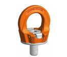 Anneaux de levage à visser avec vis à œil suprême pewag PLGW
