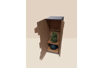 Emballage carton pour plantes et fleurs en pot avec calage intégré