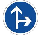 Panneau direction obligatoire tout droit ou à droite - B21d1