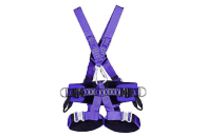 Harnais Antichute Cuissard 5 Points D&amp;#039;Accrochage - Gamme Expert