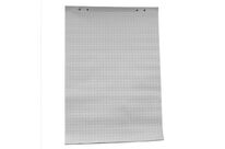 Recharge 10 feuilles blanches quadrillées &amp;ndash  format A1 pour Paperboard
