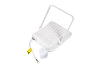 Projecteur LED Extérieur 50W IP65 BLANC avec Détecteur de Mouvement Crépusculaire - Blanc Froid