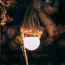 Luminaire
