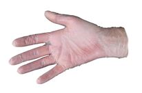 Gants vinyle premium | Cristal Hygiène