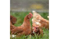 Grillage rouleau agricole | Triple torsion