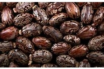 Gamme Polycin issue du Ricin