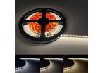 Bandeau LED 24V 5M 2835 IP20 - Blanc Froid 6000K - 8000K / 120 LED/m / Rangée Simple