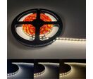 Bandeau LED 24V 5M 2835 IP20 - Blanc Froid 6000K - 8000K / 120 LED/m / Rangée Simple