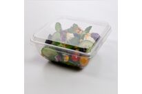 Barquette à salade | NEXT EMBALLAGE