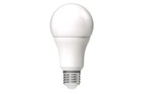 Éclairage industriel LED | Lampe GLS LED E27 RS PRO 13 W 1590 lm