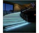 Barre étanche 0,5m 30 LED Blanc Froid