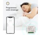Module Interrupteur wifi avec Wattmètre