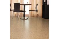 Sols PVC: Translations II acoustic