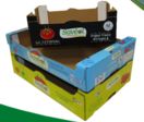 Plateaux en carton ondulé pour Fruits et Légumes