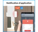 Détecteur D'ouverture de Porte et Fenêtre Intelligent Wifi