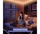 Ruban LED Connecté WiFi RGB 12V 2x5M 30LED/m