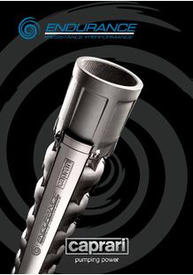 Pompes Immergées Inox ENDURANCE