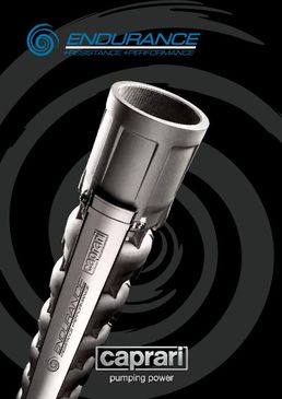 Pompes Immergées Inox ENDURANCE