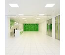 Pack de 6 - Panneau LED 60x60 Slim 36W BLANC - Blanc Froid 6000K - 8000K