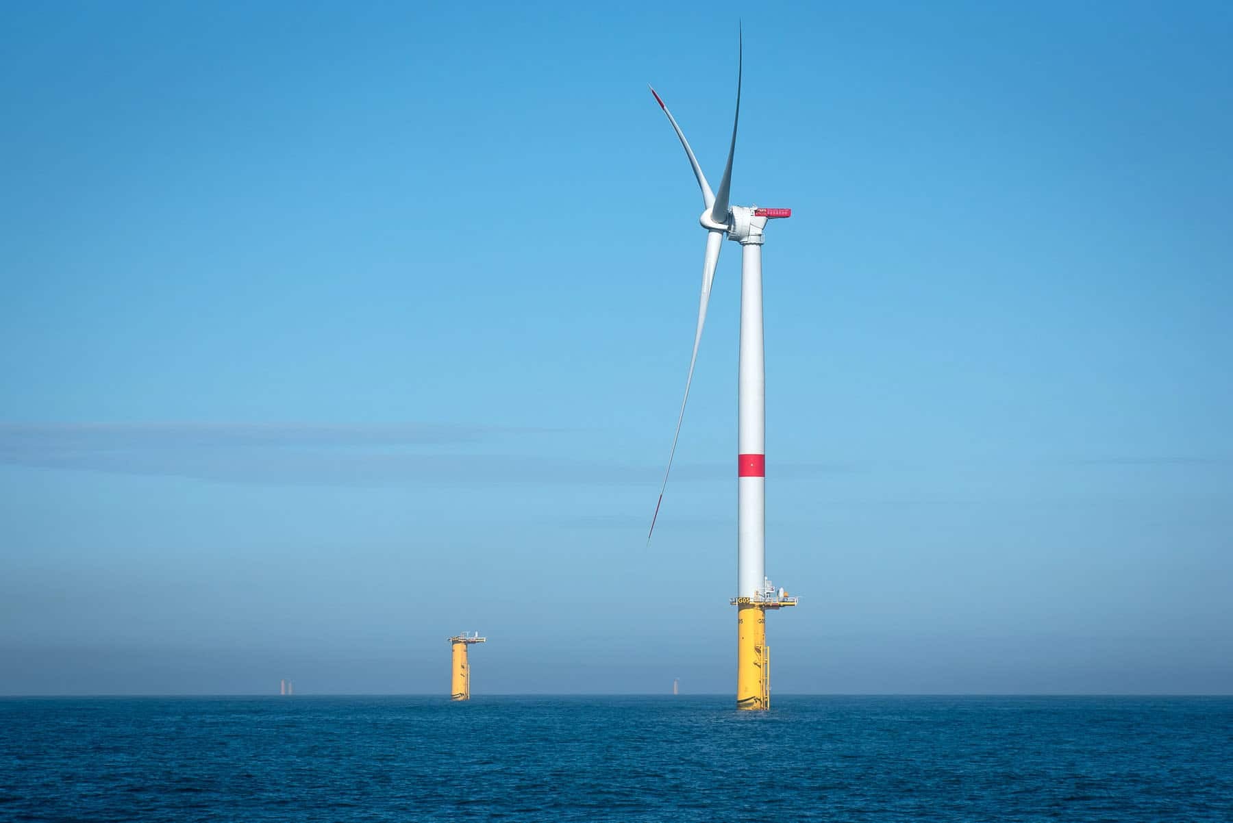 Un travail de plus de deux ans : des chercheurs documentent les effets de l’éolien en mer sur la biodiversité