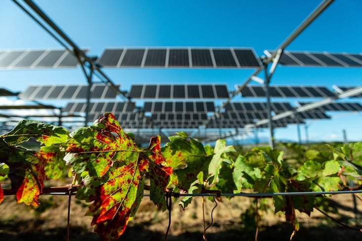 Sun'Agri Agrivoltaïque agrivoltaïsme