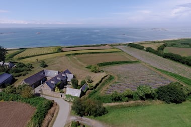 Dans les Côtes-d’Armor, Maison Villevert investit 4 millions d’euros pour moderniser et agrandir la Celtic Whisky Distillerie