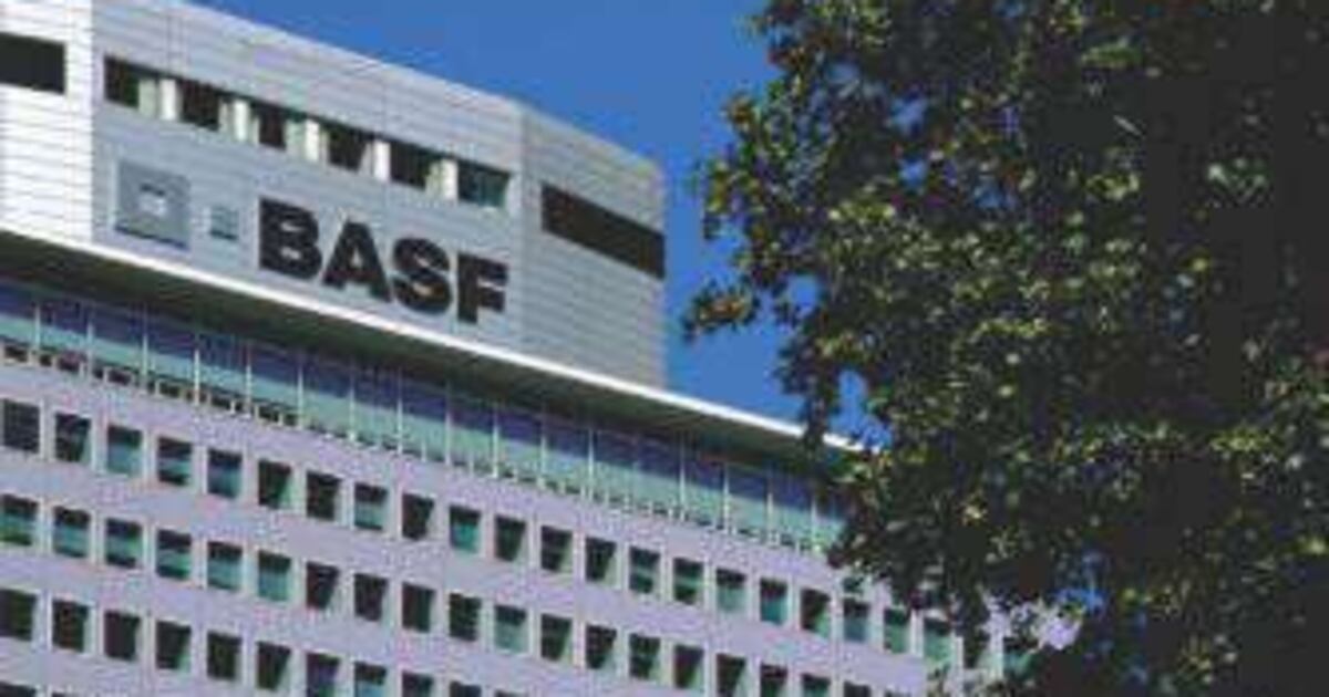 Absfi Building Résultats financiers : Résilient au premier trimestre, le groupe ...