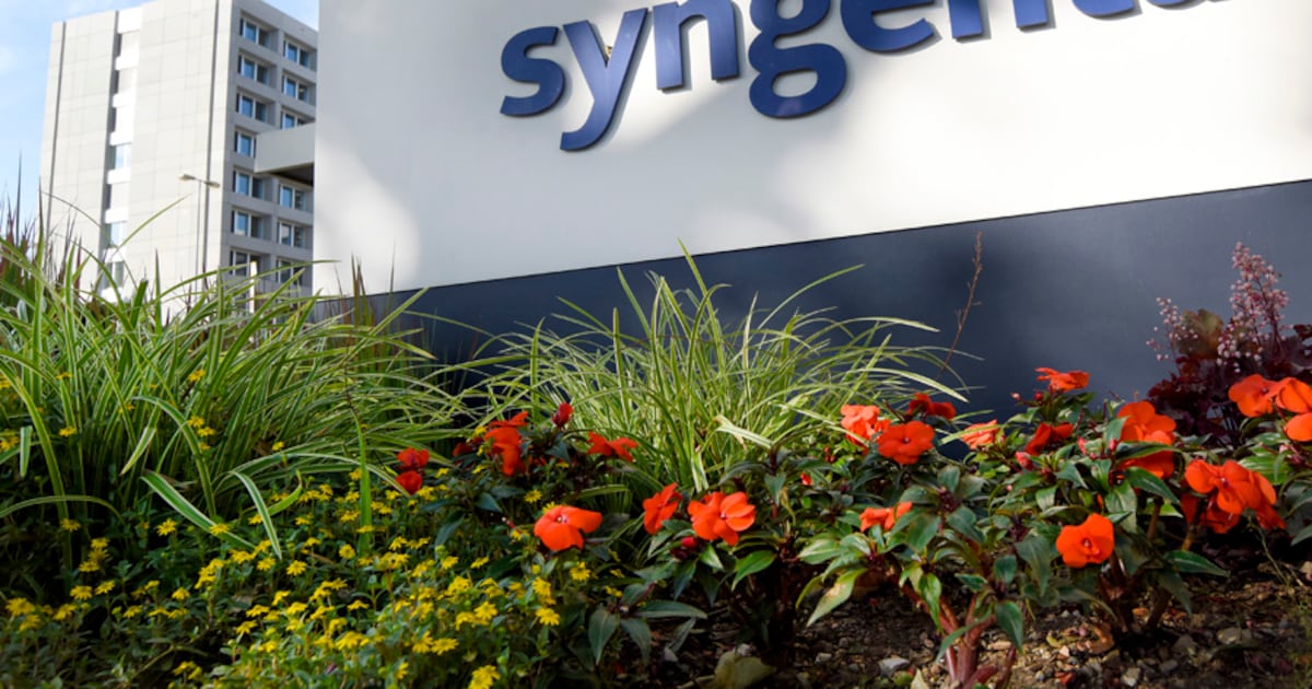 Syngenta et Groundwork BioAg s'unissent pour la santé des sols