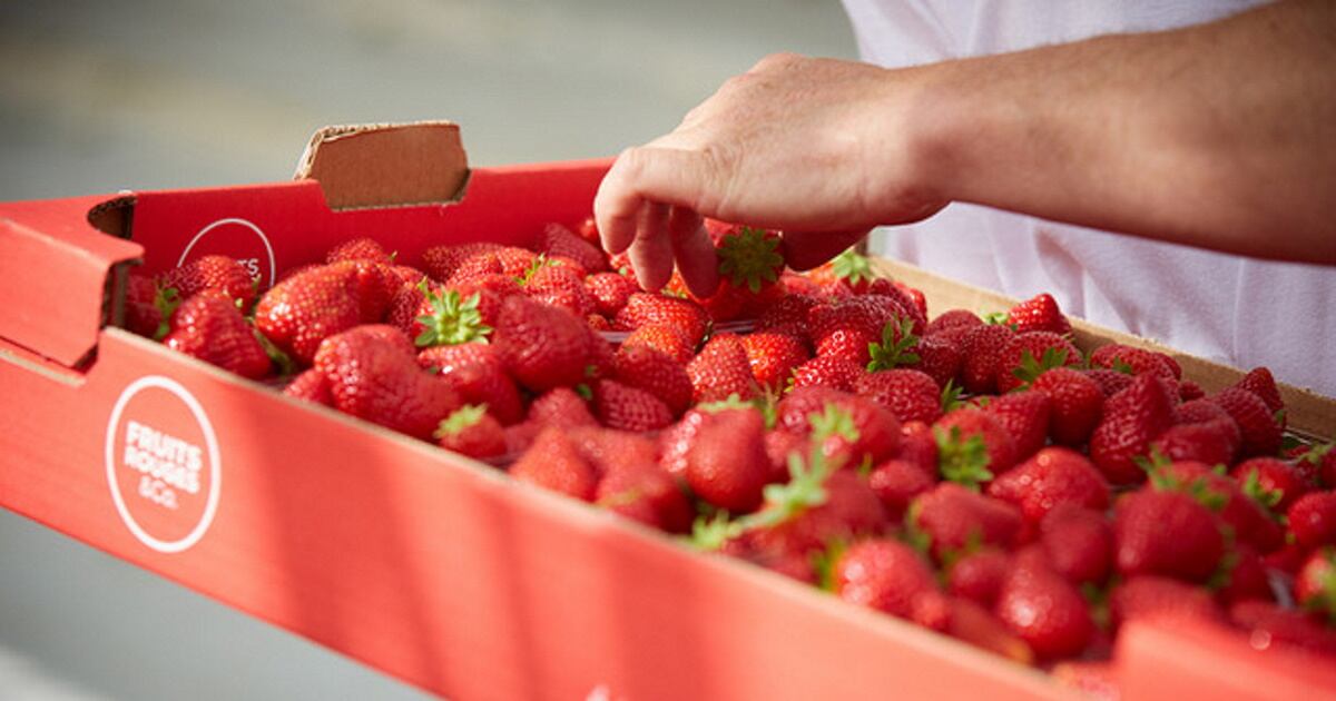 Corson Fruit Rouges Fruits rouges & Co relocalise à Laon la première transformation de ses ...