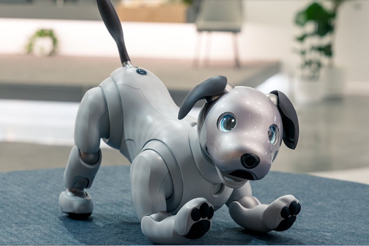Sony robot-chien Aibo