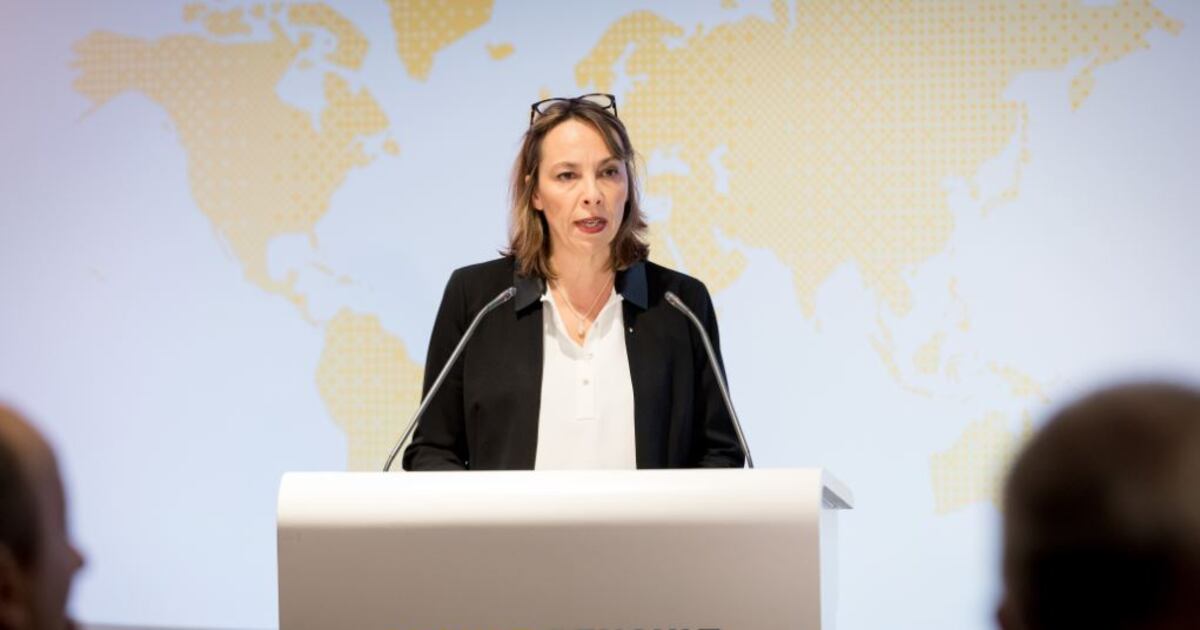 Gita Roux Qui sera le nouveau directeur général de Renault