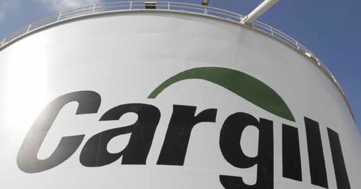 À Saint-Nazaire, Cargill va utiliser les coques de tournesol comme ...