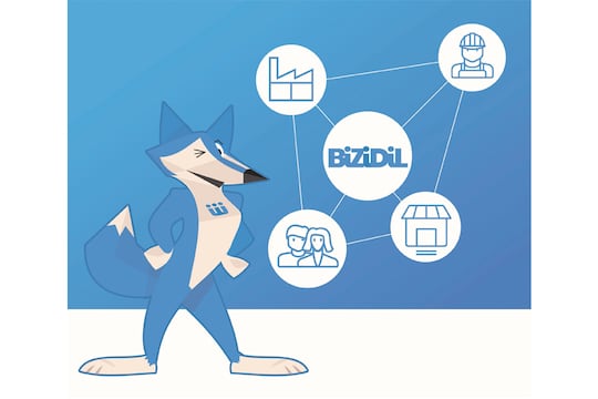 Bizidil, le web-to-store multi-enseignes du bâtiment