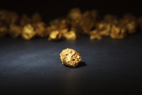 Achats sauvages : une mine d’or cachée pour les industries