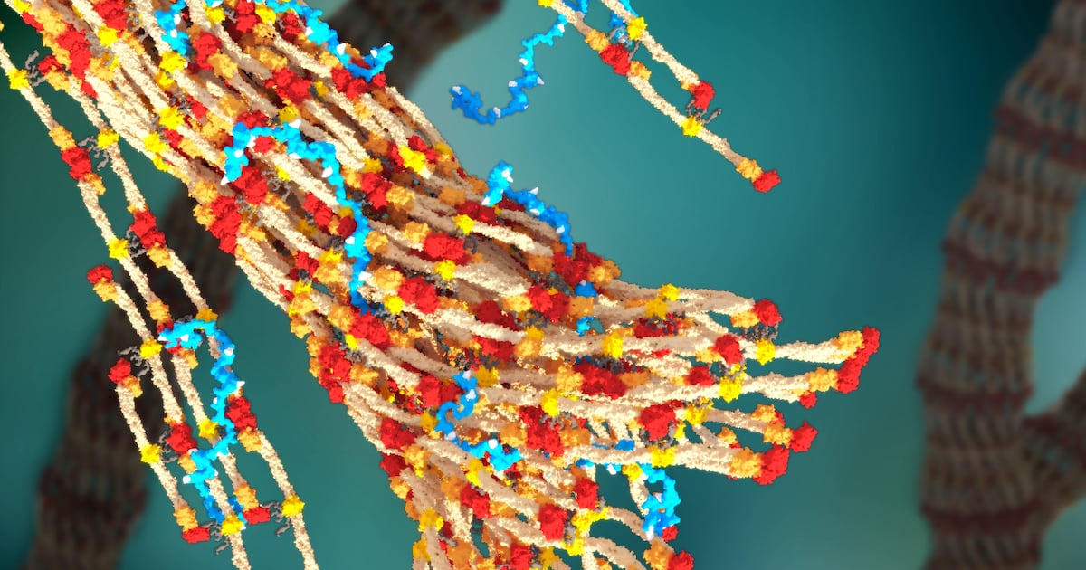 Innovation : la start-up bordelaise Synboli accélère la découverte de polymères grâce à l’IA