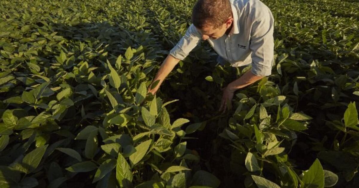 Biocontrôle : BASF s’empare d’AgBiTech pour renforcer le portefeuille de sa division BioSolutions