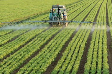 Cadmium : comment ce métal industriel est devenu une source majeure de contamination alimentaire en France