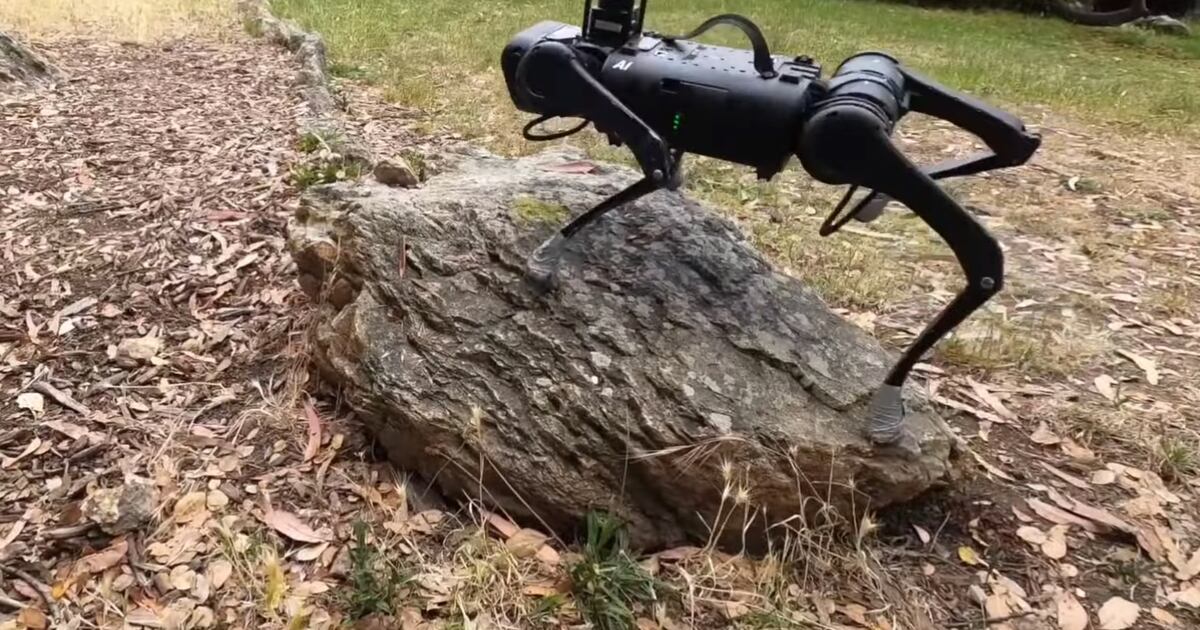 Comment une IA placée entre une caméra frontale et quatre pattes suffit ...